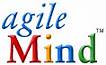 Agile Mind 